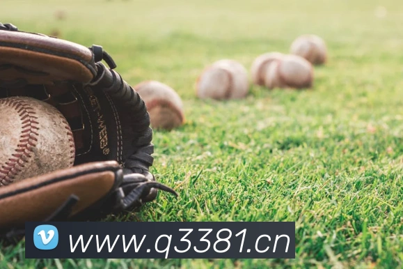 华体网体育官网平台生态图